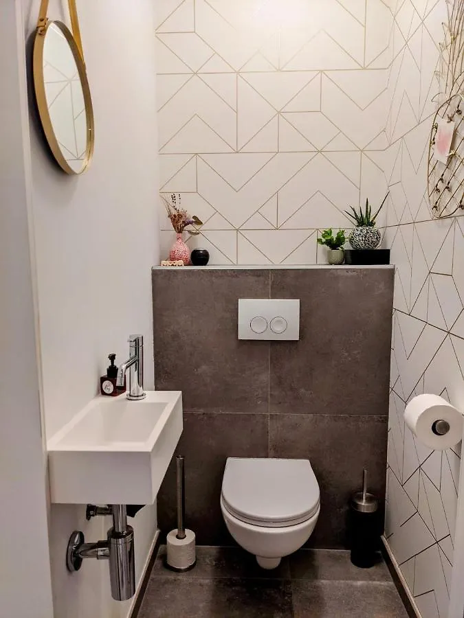 בית נופש הוילה אוסטנדה House 45 בלגיה